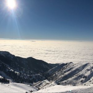 Meet your Posher, Mr